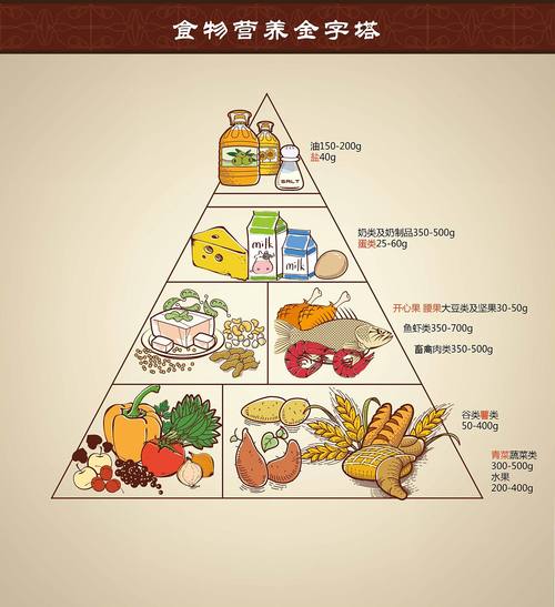饮食金字塔-健康饮食金字塔