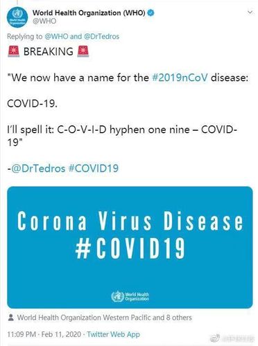 新冠肺炎英文名修订为covid-19-新冠肺炎英文名修订为COVID19什么时候
