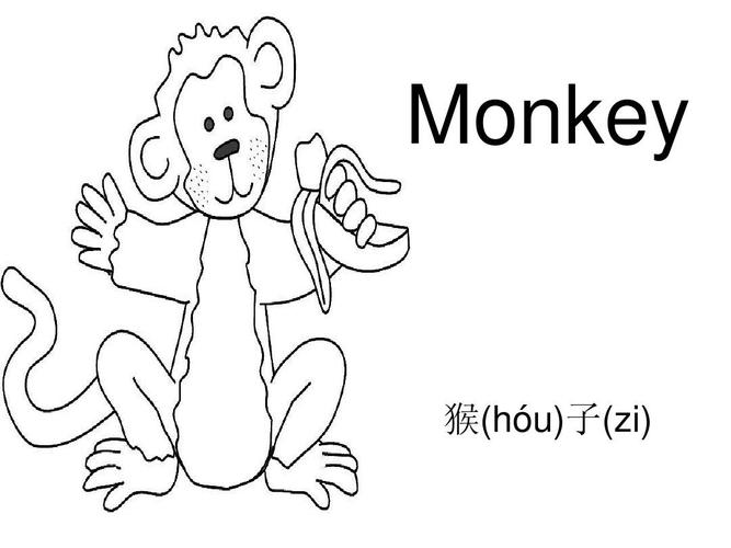 猴子的英文单词-猴子的英文单词怎么写